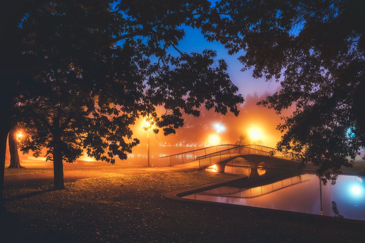 DaveDiCello's tweet photo. I was going to combine all my foggy Lake Elizabeth images from yesterday morning in #Pittsburgh into one post, but I feel like they deserve to stand alone. This was my second favorite shot from yesterday, with the park again giving off that eerily beautiful atmosphere. https://t.co/7qH6c6EyWj