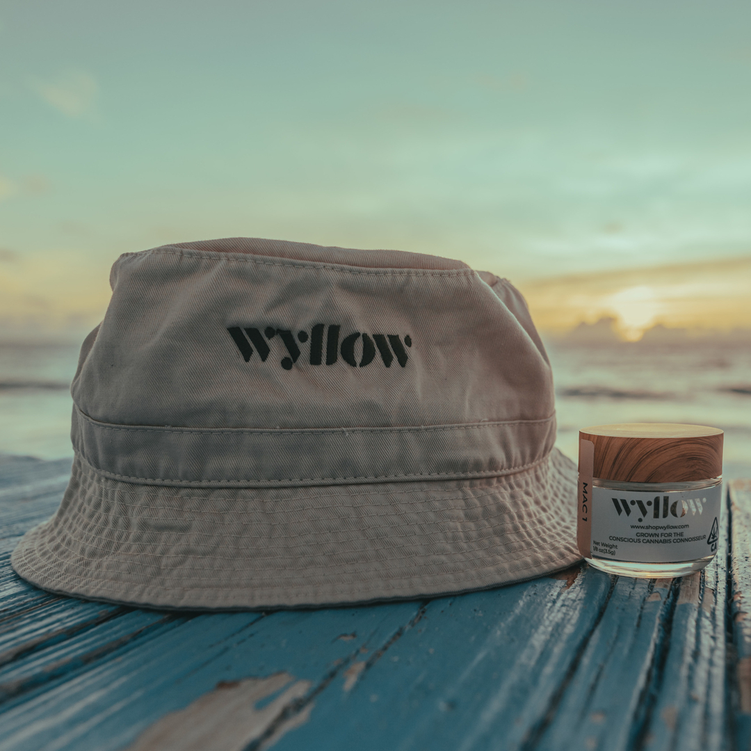 ShopWyllow's tweet photo. ~ sunset sesh essentials ~
#WorldOfWYLLOW
#sunset #sunsetsesh #smokesession #california #smokewithme #losangeles #consciouscannabis #craftcannabis #freshair #optoutside #selfcare #shopwyllow #visitwyllow #theworldofwyllow https://t.co/FwxBp1j95L