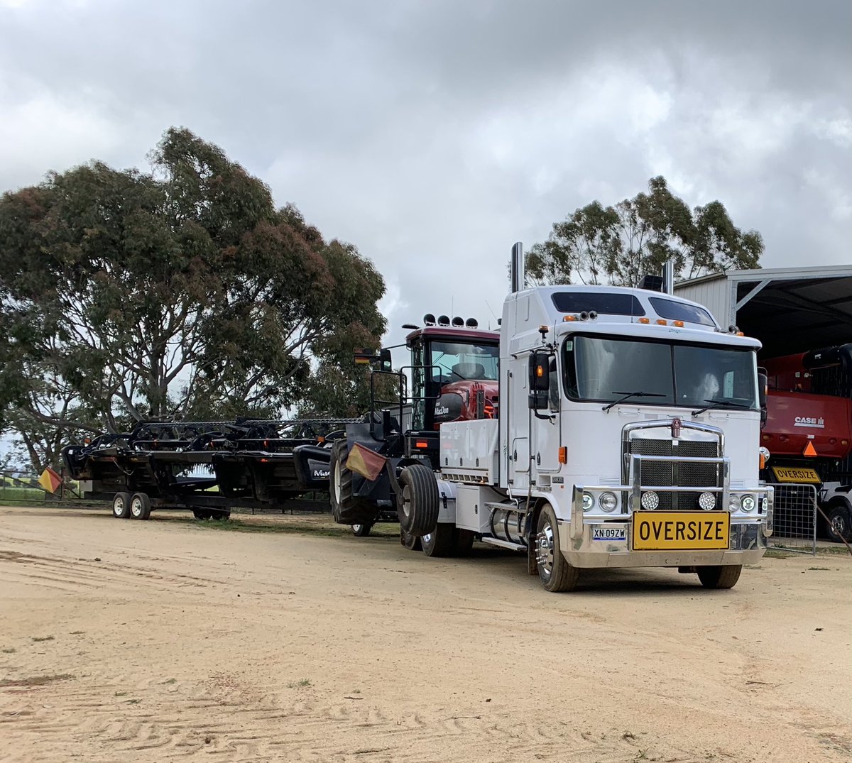 Windrower available from tomorrow. Currently north of Warren but will travel. 30ft and also 45ft available.
📞 Alex 0428179267