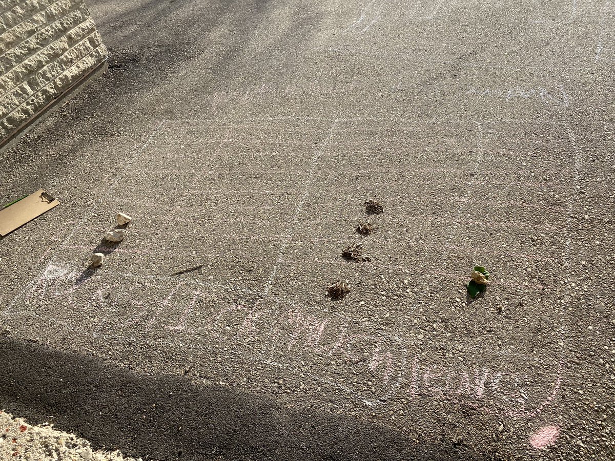 Who needs graph paper when you have chalk &amp; nature? #math #outdoorlearning 🍂🍎

@ryelementary