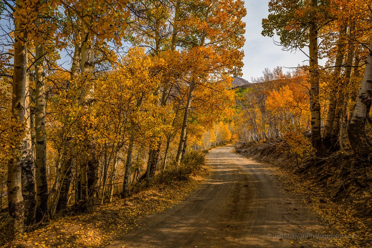 Eastern Sierra S-curve on Sunday morning, before the traffic arrived. flickr.com/photos/jeffrey… #easternsierra #fallcolors #monocounty #visitcalifornia #Hwy395 #california