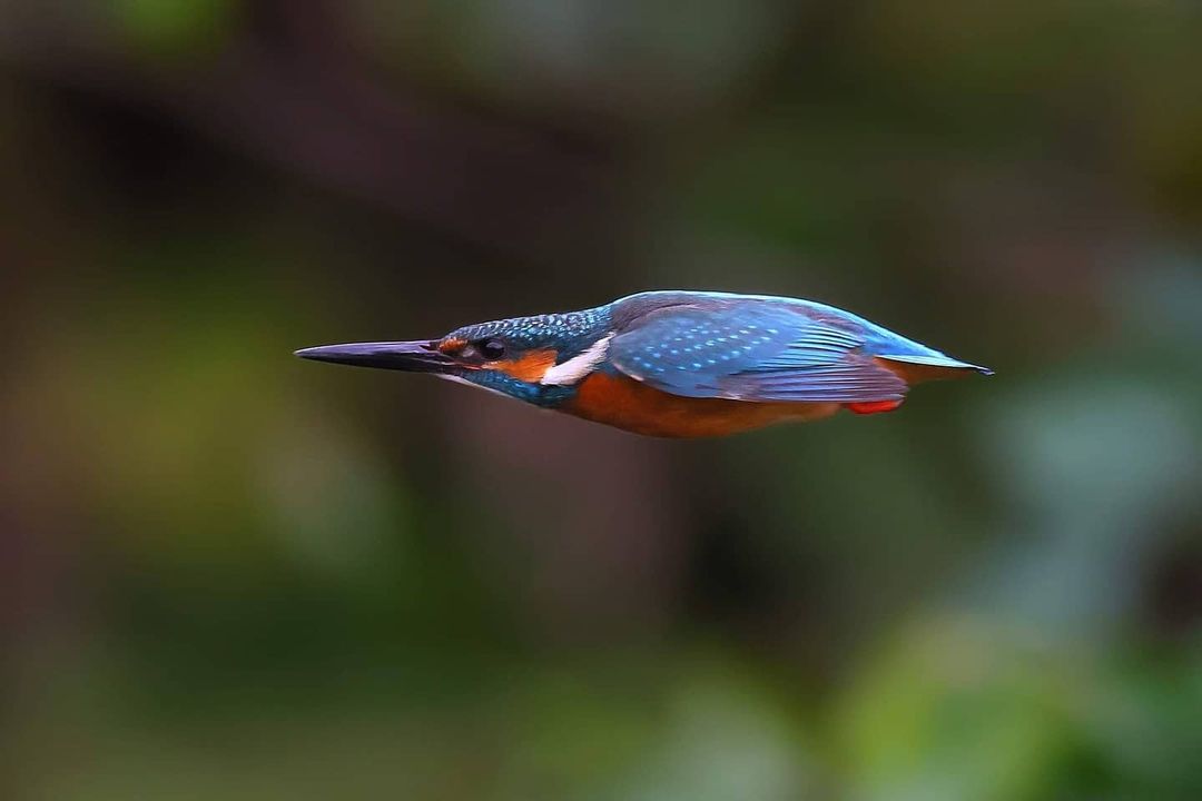 <a href="/DinaRybeiro/">♡Dina Ribeiro♡</a> @7505Agar Very powerful