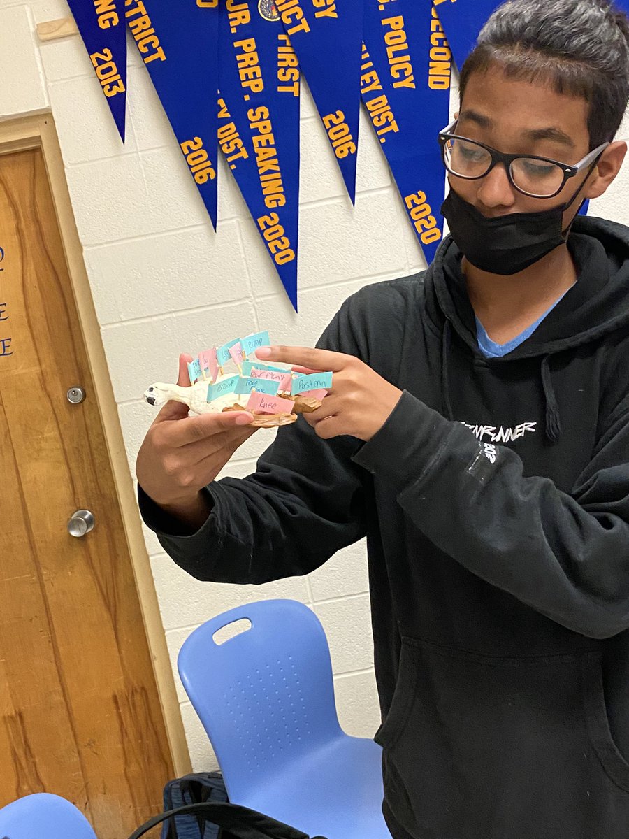 Livestock Production presenting their External Anatomy projects today <a href="/FfaMemorial/">Memorial_FFA</a> working on soft skills (public speaking) while having fun learning <a href="/McAllenISD/">McAllen ISD</a> <a href="/McAllenISDCTE/">McAllen ISD CTE</a> <a href="/McAllenMemorial/">Memorial High School</a>