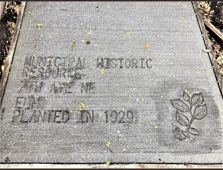 <a href="/dawnvalentine/">Dawn Valentine</a> <a href="/AlanZakrison/">Alan Zakrison</a> <a href="/CHCA/">Claudia Cárdenas</a> <a href="/jtraptow/">Josh Traptow</a> <a href="/CalgaryHeritage/">Calgary Heritage</a> <a href="/HeritageCalgary/">Heritage Calgary</a> How are we not doing this in Edmonton?! My neighbourhood is about to go through renewal, and I must make this happen!!

#yegcc #yeghistory #yegtrees #yeggarden <a href="/bmcnews/">Boyle McCauley News</a> <a href="/MeetMcCauley/">Meet Me In McCauley</a> <a href="/yegheritage/">Edmonton Heritage Council</a>