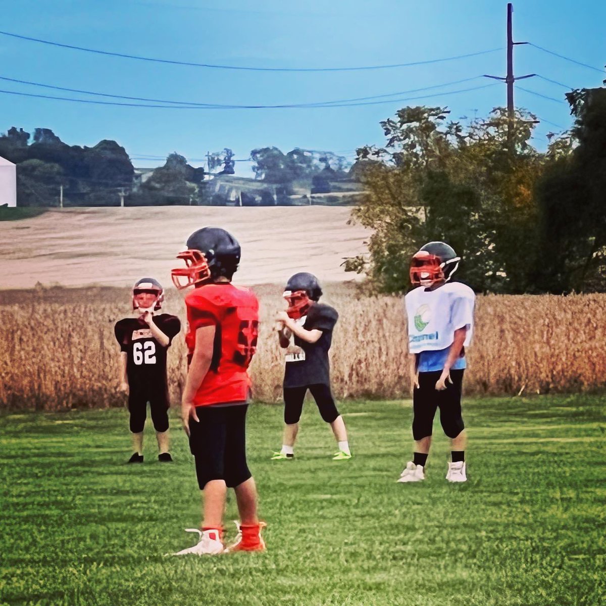 StoutsvilleSeedShed tweet media