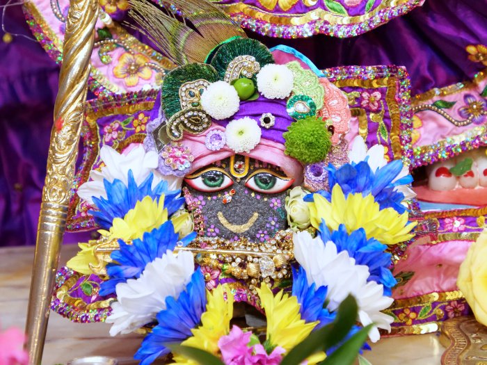 iskconlondon's tweet photo. Today's Deity darshan in Govardhan Peacocks outfit #krishna #radharani #radhakrishna #girigovardhan #gauranitai #jagannath #baladev #subhadra #srilaprabhupada #deities https://t.co/1bF6gqMKmX