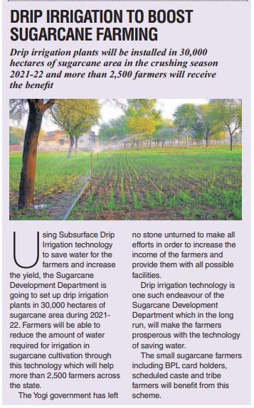 Drip irrigation to boost sugarcane farming
#canewebsite 
upcanegov.in
caneup.in
 E-ganna app
<a href="/UPGovt/">Government of UP</a>
<a href="/CMOfficeUP/">CM Office, GoUP</a>
<a href="/InfoDeptUP/">Information and Public Relations Department, UP</a>