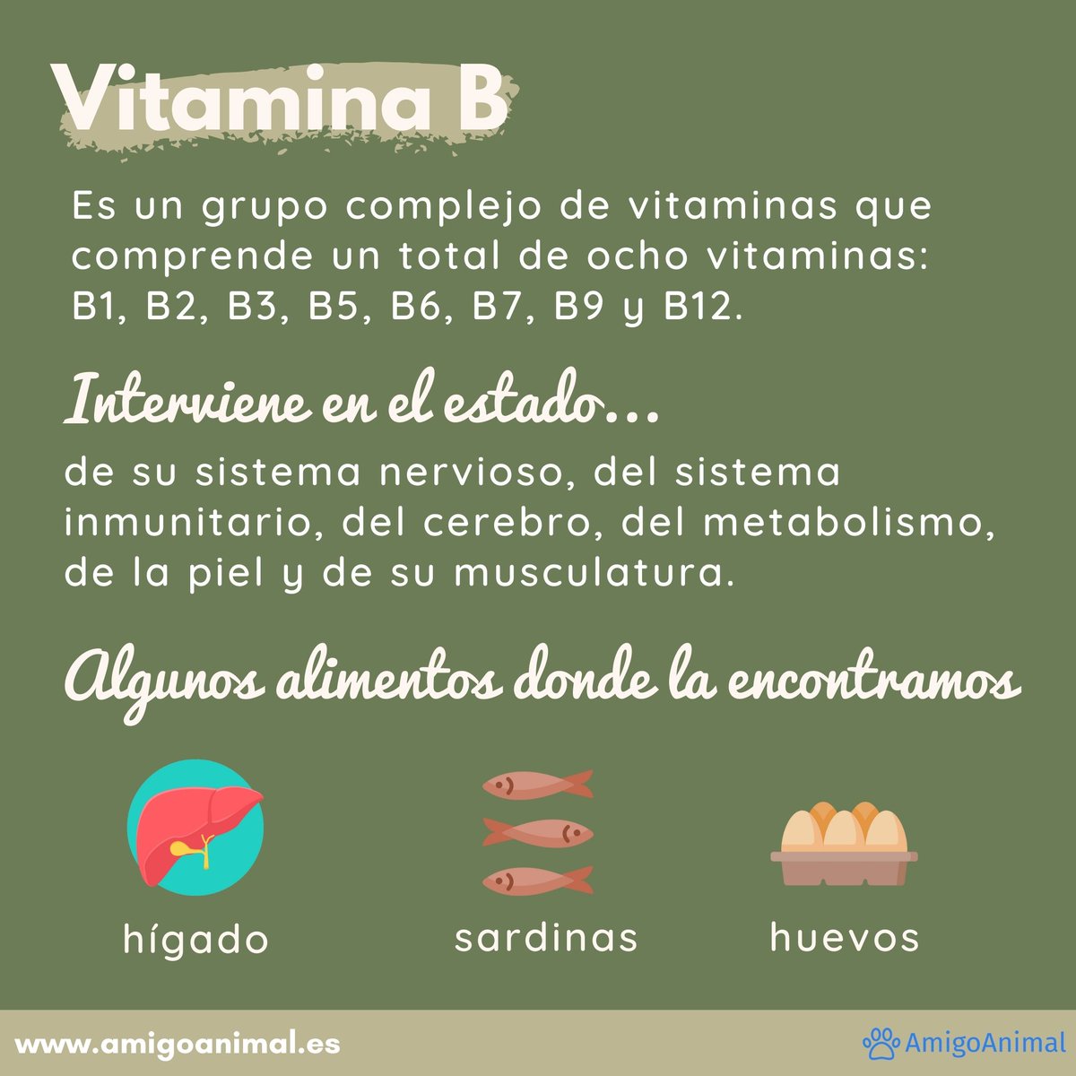 amigoanimalnews's tweet photo. ¡Bienvenid@s a otro post de AmigoAnimal! 😃 

En el post de hoy hablamos de las 4 vitaminas más importantes para que nuestros perretes tengan una vida sana. 🥦 ¡No te lo pierdas! #tipsperrunos https://t.co/jMgcmatedF