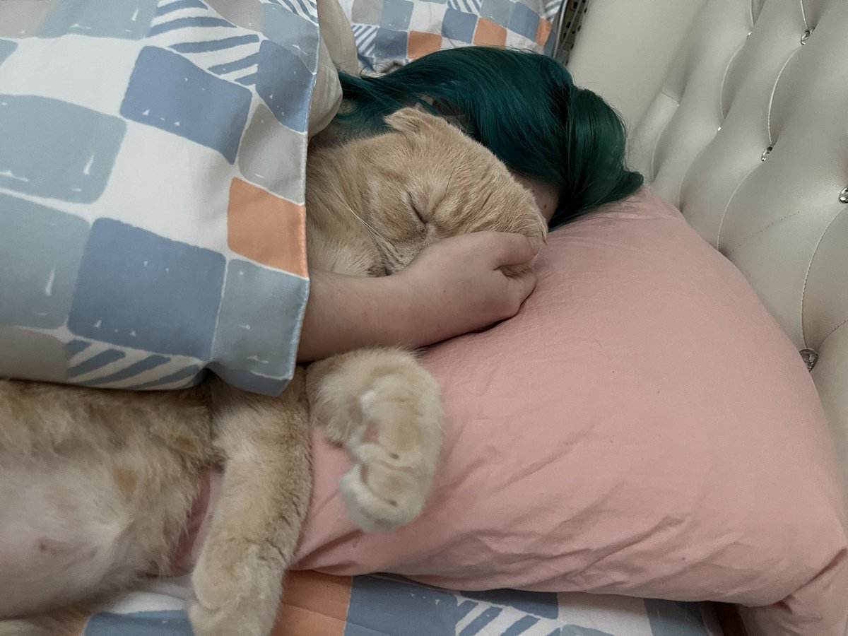 กุอิจฉาเพื่อนมาตลอด คือแมวมันเด็กดีมาก อ้อนมาก จับไว้ท่าไหนก็อยู่ท่านั้น เนี่ยแม่งนอนกอดมาเปนชั่วโมงแล้วมันก็ยังอยู่ท่านี้555555555555555 กุไม่รู้หรอกมันนอนสบายมั้ยดูจากท่า แต่ดูจากเสียงกรนแมวคือ นางดีใจที่แม่นางกอดไว้แน่นๆ โอ้ย