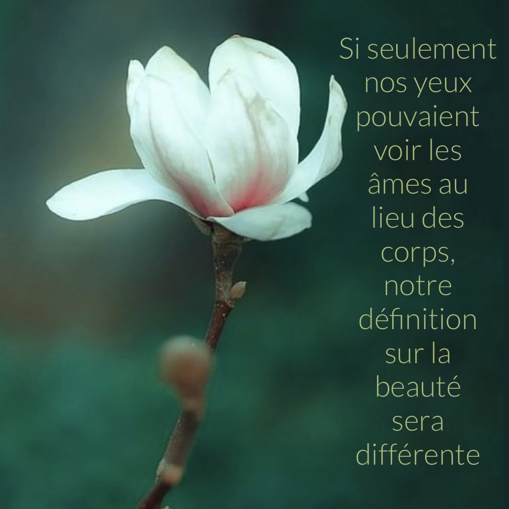 Nathaly Andraos ناتالي أندراوس Bonjour Et Bonne Journee Si Seulement Nos Yeux Pouvaient Voir Les Ames Au Lieu Des Corps Notre Definition Sur La Beaute Sera Differente Nathaly Andraos ناتالي أندراوس Bonjour Et Bonne Journee Si Seulement Nos Yeux Pouvaient Voir Les Ames Au Lieu Des Corps Notre Definition Sur La Beaute Sera Differente