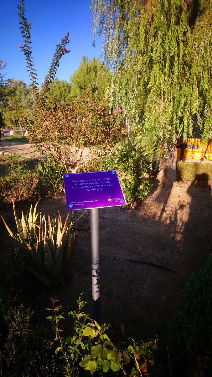 BosqueApoyo's tweet photo. Siguiendo con las actividades de nuestra semana de la lactancia, os dejamos las imágenes de la inauguración del Árbol de las Maternidades, situado en el parque de la Almenara del Guadalquivir. 

#semanadelalactanciamaterna2021 #bosquedeleche https://t.co/0Z92qXuvKX