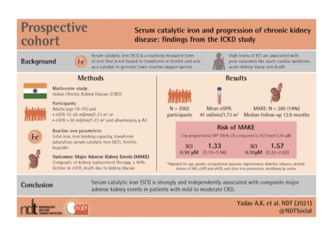 New paper alert -

Data from &gt;2000 subjects with mild to moderate CKD in the <a href="/ICKD_Study/">DBT-Indian Chronic Kidney Disease Study</a> 

Serum catalytic iron is strongly and independently associated with kidney disease progression