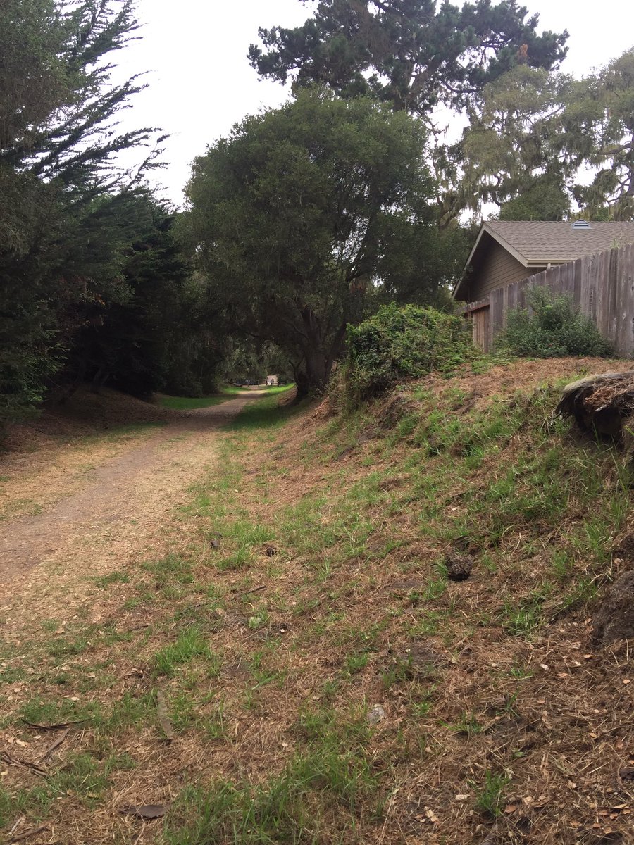 jackop2011's tweet image. Hiking on Pacific Grove....