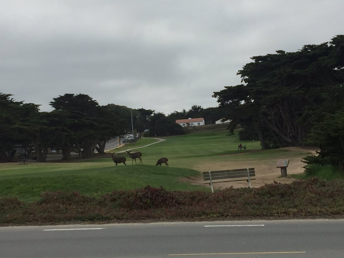 jackop2011's tweet image. Hiking on Pacific Grove....