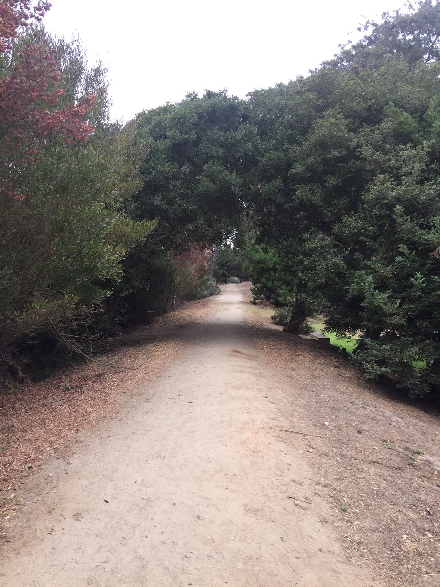 jackop2011's tweet image. Hiking on Pacific Grove....