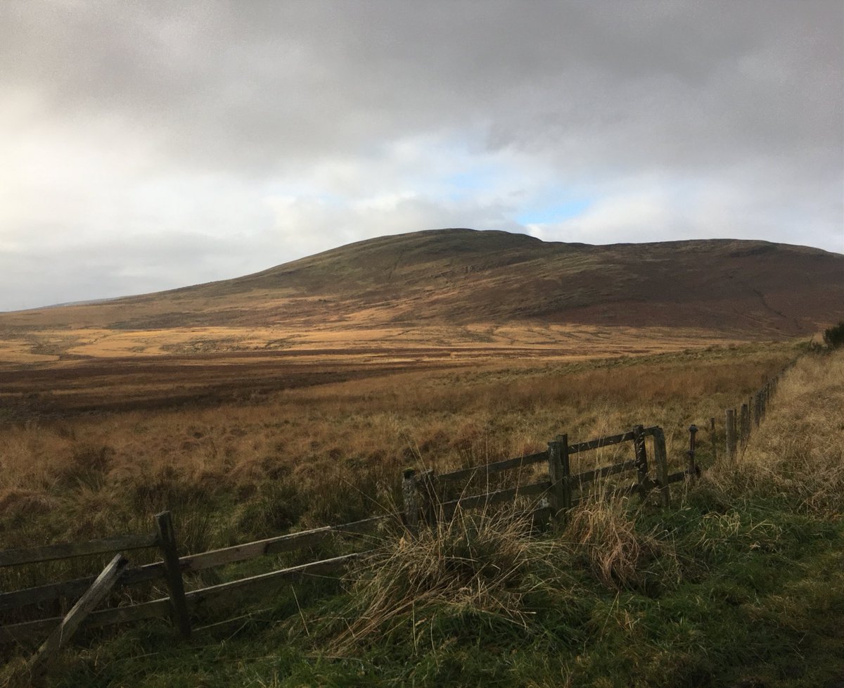 Back from the North.  . I can still smell the peaty,damp, breathtakingly delicious scent of it all . .