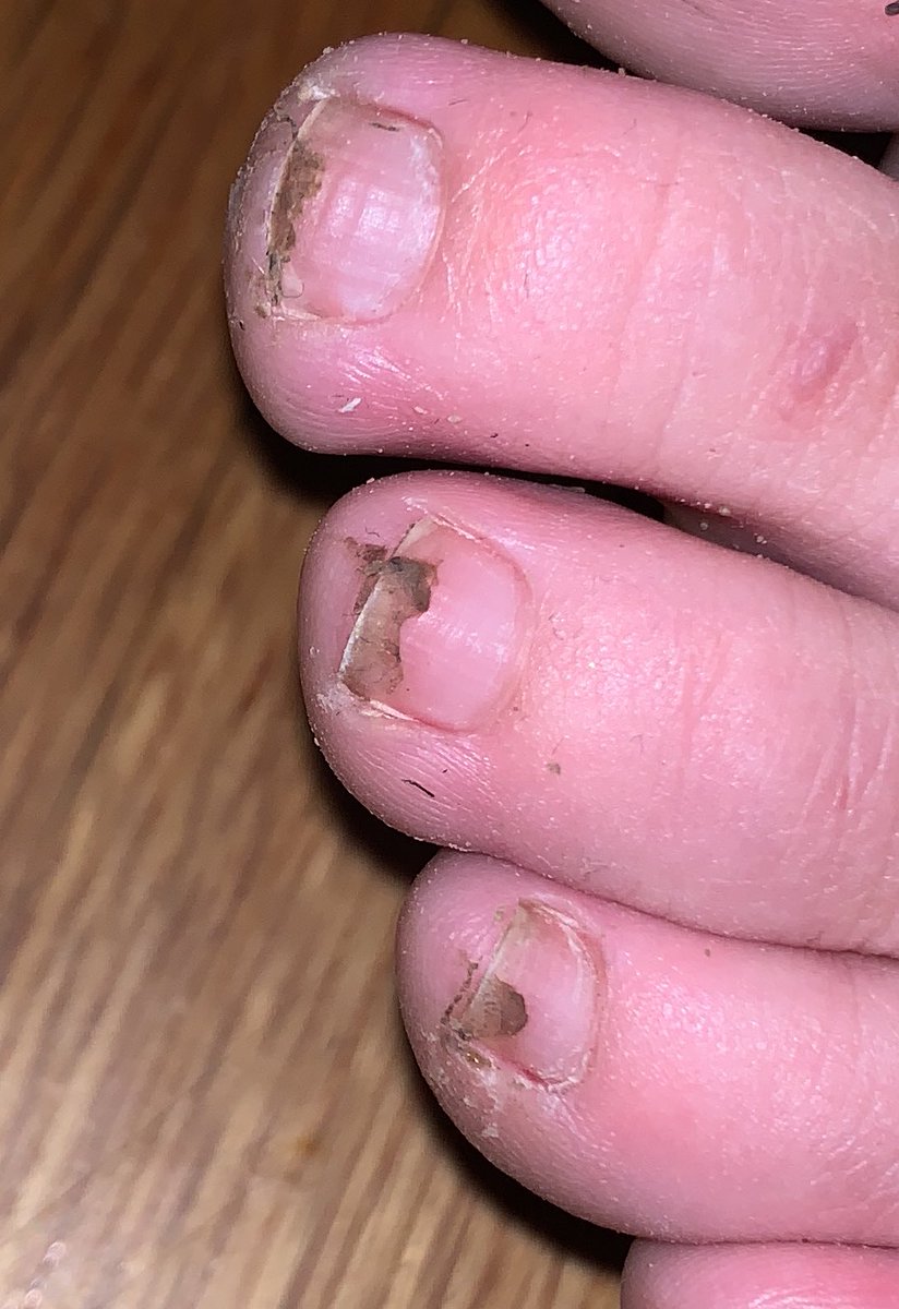 PlusPrincesss's tweet photo. Mmmm Tasty 😉

Cash app or Paypal for the full 1 minute shoe removal clip 💋 https://t.co/8B0do8pxQe