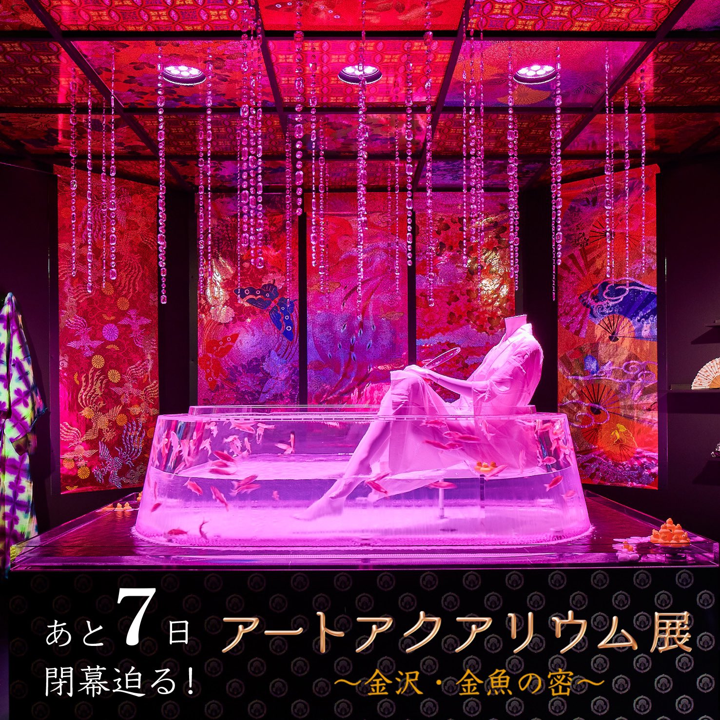 アートアクアリウム Art Aquarium Artaquarium Twitter