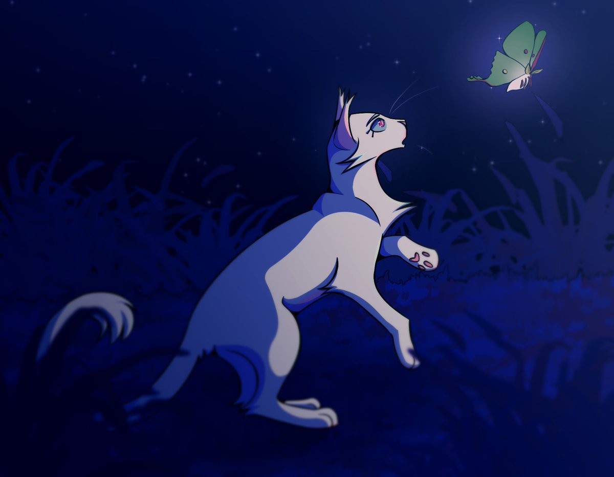 mercykatze's tweet photo. i dont normally keep up with #wcotw but i heard it was moth flight this week and i had to draw my girl

#warriorcats @theclandom https://t.co/VjTaLMZbOV