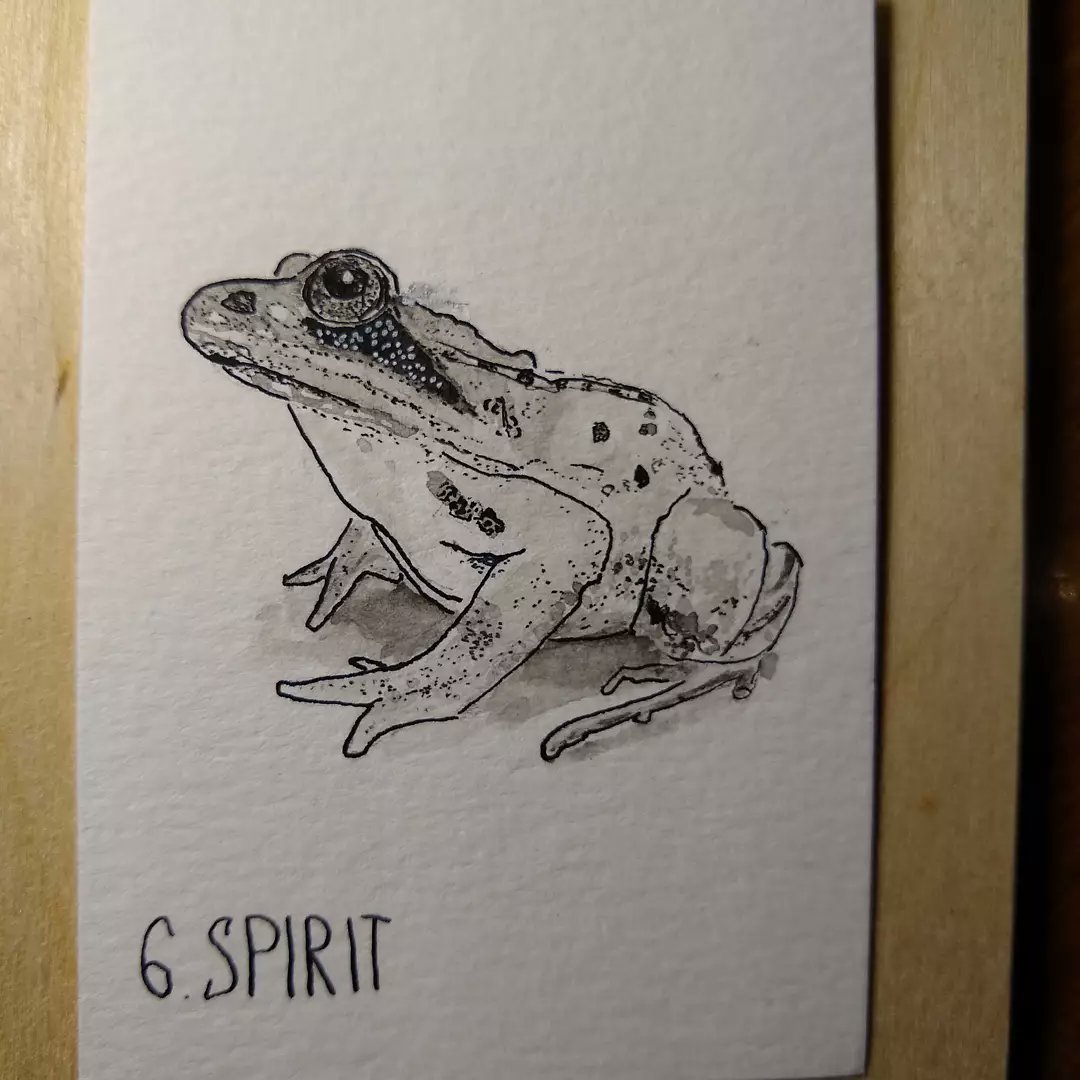 KevinTow's tweet photo. Day 6- Spirit. Wood frogs freeze and their hearts start up when they thaw! #inktober #inktober2021 https://t.co/P9Ve3f1Aic
