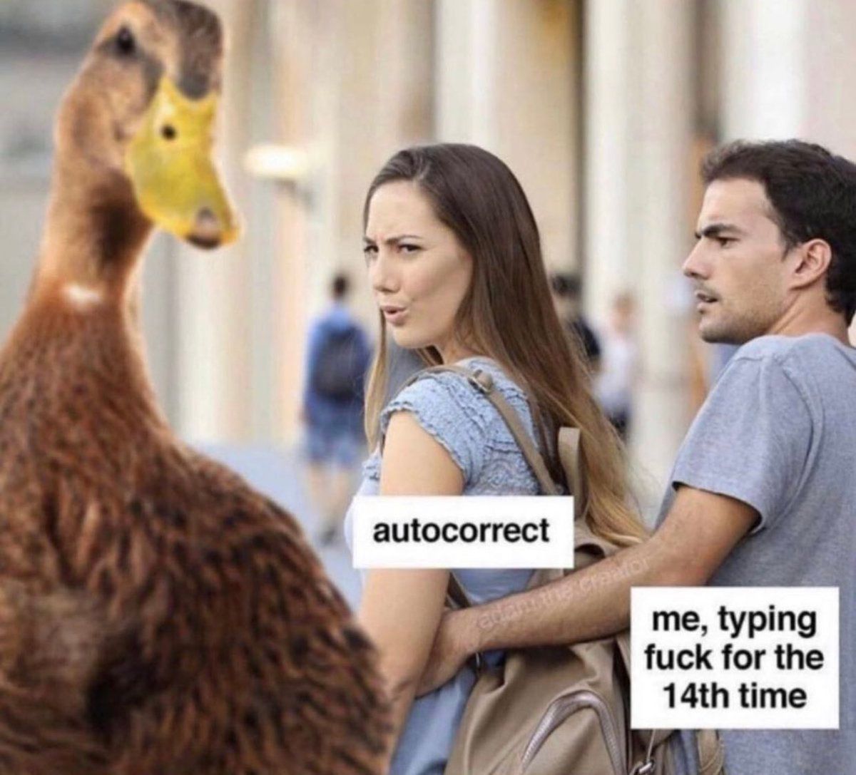 CauseWereGuys's tweet photo. Every time https://t.co/QusRFPjy2Y