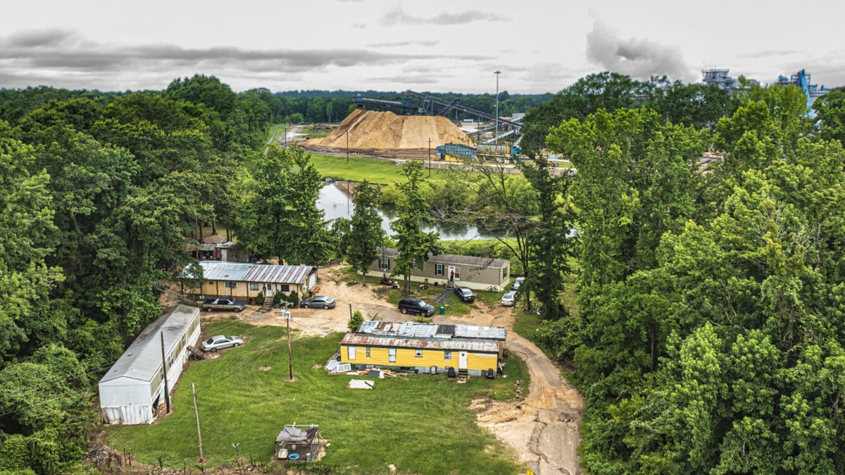 Dogwood Alliance tweet media