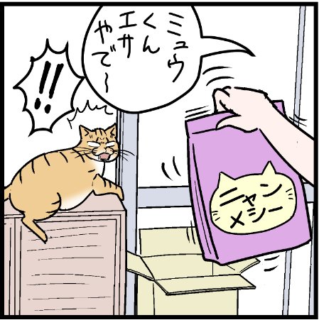 まさにネコまっしぐら!
 #にゃんこ #まんが #マンガ #4コマ漫画 #四コマ漫画 #猫 #ねこ部 #ねこ #猫あるある #猫漫画 #ペット #飼い主 #ねこらぶ #エッセイ漫画 #みんねこ #キャット #ねこのいる生活 #猫ばか #にゃんだふるらいふ 