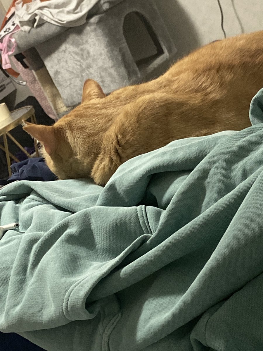 ExplainTeddy's tweet image. I FORGOT TO POST PICTURES BUT