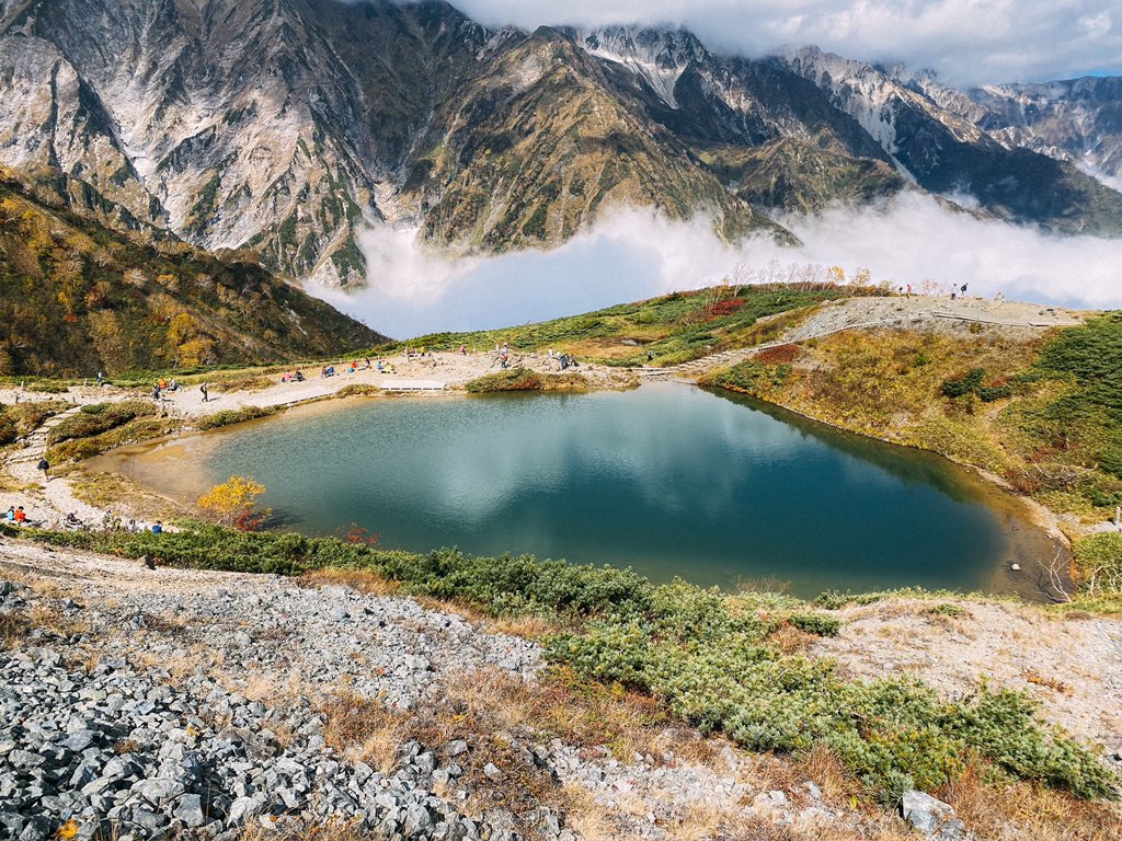 宮下 直樹 on Twitter