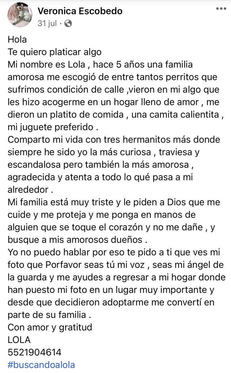 Veronica Escobedo tweet media