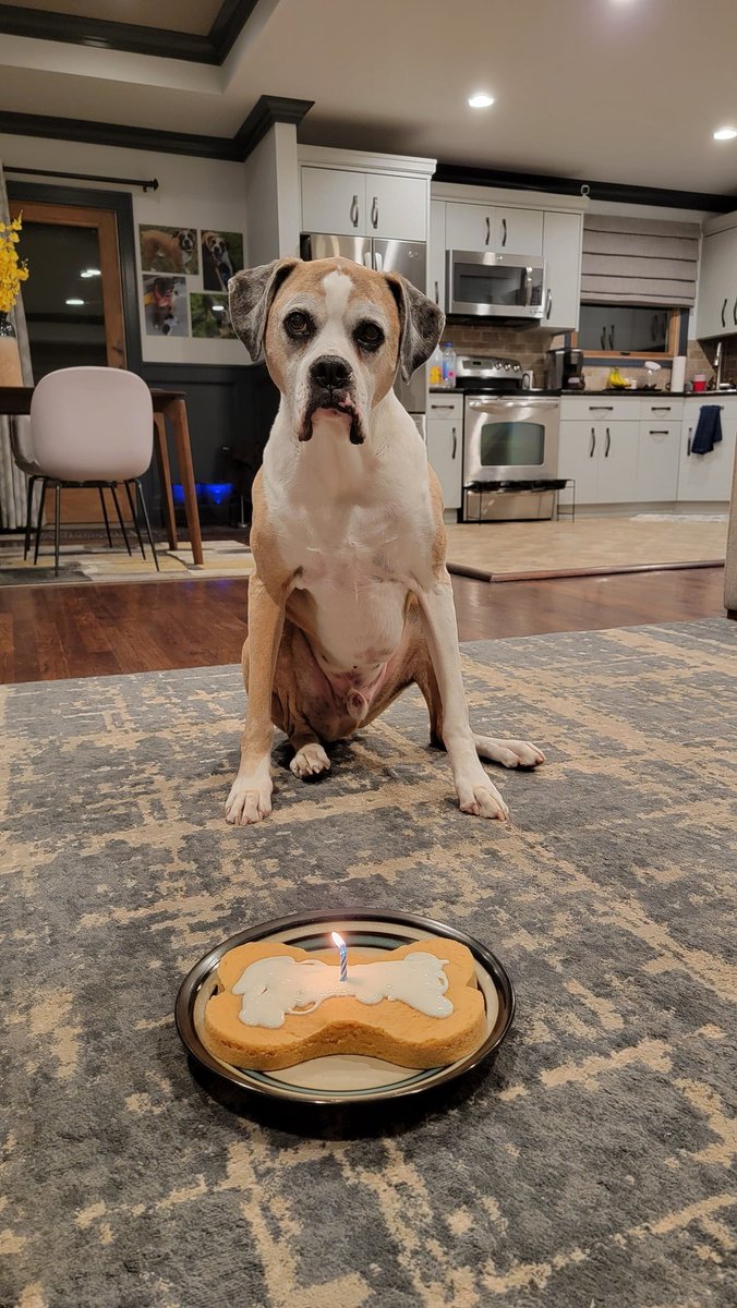 610Barstool's tweet photo. Cancer twice by 7, given two more years tops. Yet here's my boy Dexter kicking down the door to 11 with no end in sight. My favorite day of the year. https://t.co/NJ4v4Njkjb