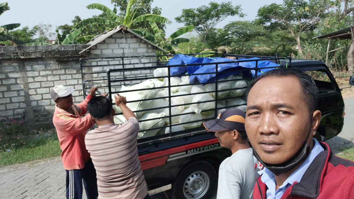 Suprapto_Kiki's tweet photo. Kamis (7/10), Suprapto, Luhkan Lamongan, Pendampingan Pemasaran Benih Bandeng Pokdakan Karya Jaya I s Rejotengah Kec Deket di pasarkan ke wilayah binaan @aRochadiyan kec Laren
#GiatLuhkanSatminkalBwi 
#Lamongan @bppp_banyuwangi  @pusluhkp @diskanlmg @brsdm_kp https://t.co/6Zjsdwx2Bj