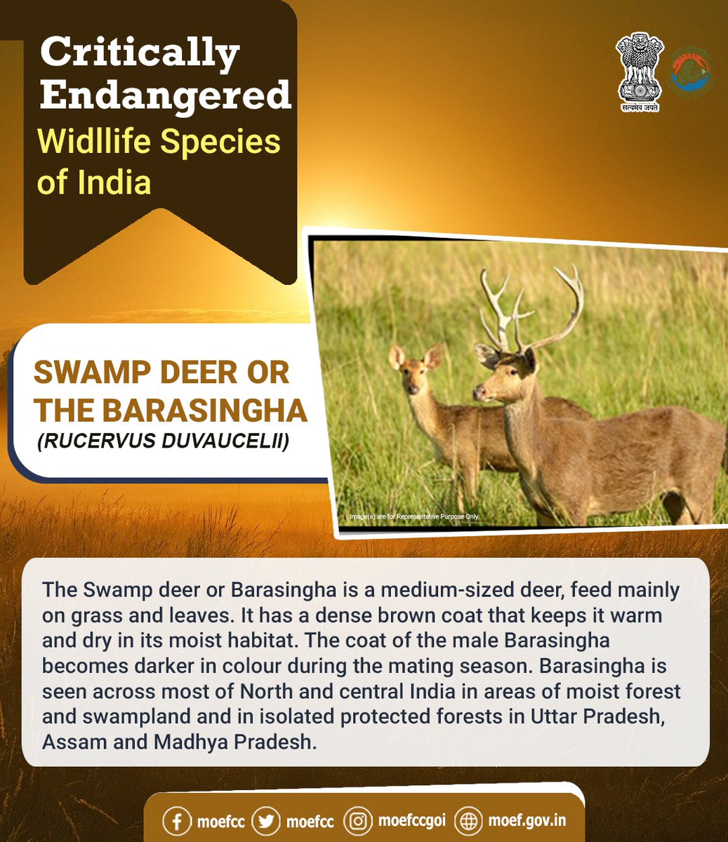 moefcc's tweet photo. #CareWillProtect
#SaveLifeInWild https://t.co/MIE4JUrc3l