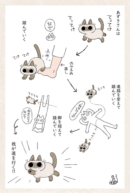 我が道を行く #シャム猫あずきさんは世界の中心 