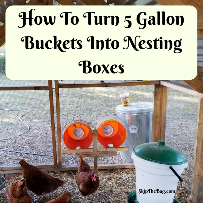 Katy Skip The Bag tweet media