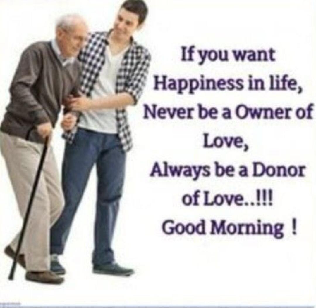 kermit the frog tweet media