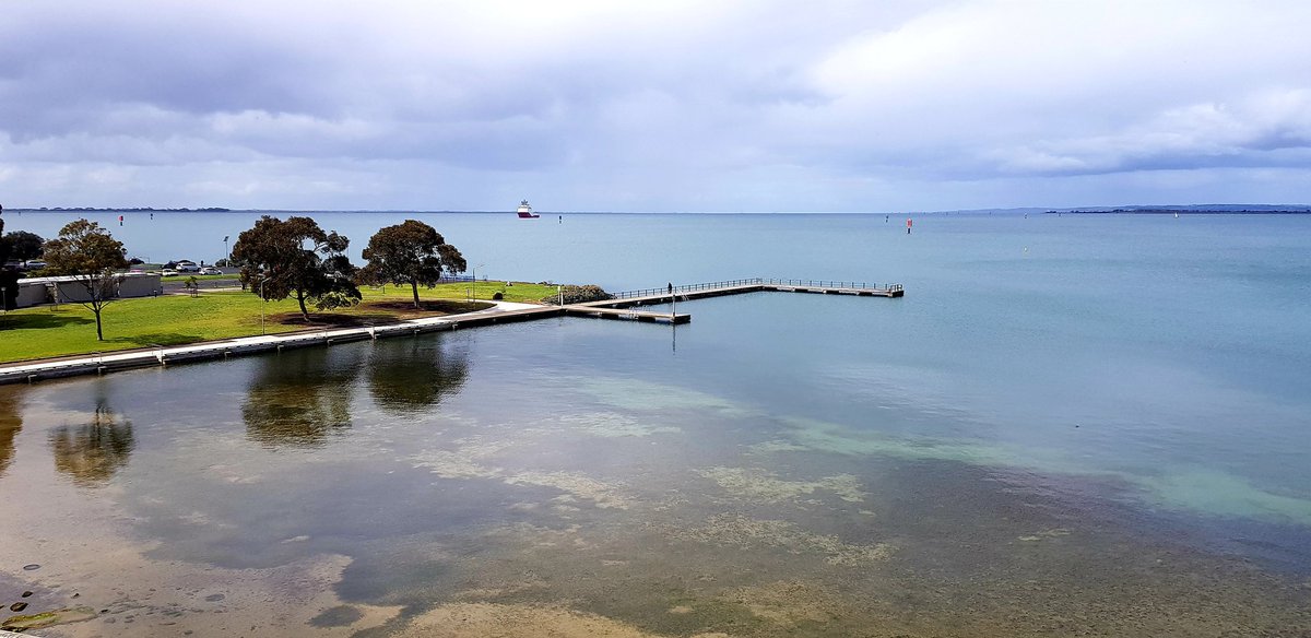 warriorboy67's tweet photo. Lunchtime walk. The past versus progress.
#StHelens #Rippleside
#Drumcondra #Geelong π¦πΊ https://t.co/ukV8EVQXOO