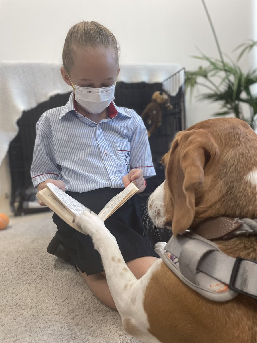 Mr_Collar's tweet photo. โWhen Iโm not busy sniffing everything, I enjoy a good book.โ Lucy 2021 ๐ถ #RPSReading #readingforpleasure #RPSNurtureDog #CognitaWay https://t.co/GpPqJQW7LI