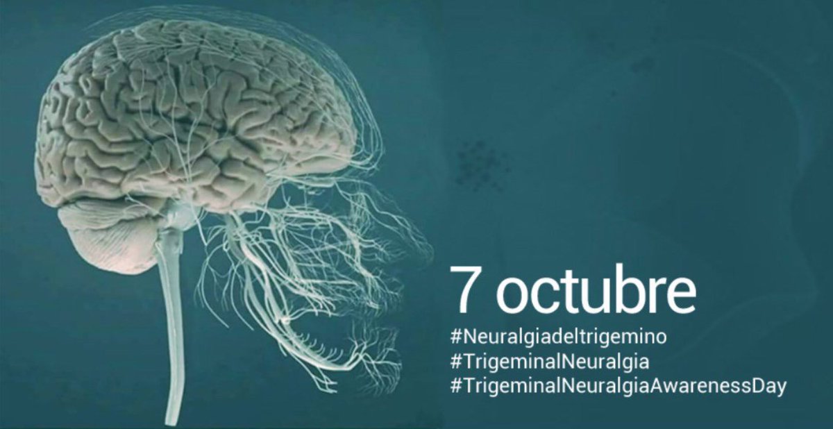 NoInvisibles's tweet image. Hoy es #DiaInternacionalNeuralgiaTrigémino #TrigeminalNeuralgiaAwarenessDay
La #NeuralgiadelTrigémino afecta al Sist. Nervioso Periférico es de las #EERR por su baja prevalencia y también invisible🤯
@leo_veritas habla de #Besosqueduelen
En @ElHuffPost👇
huffingtonpost.es/entry/los-dias…