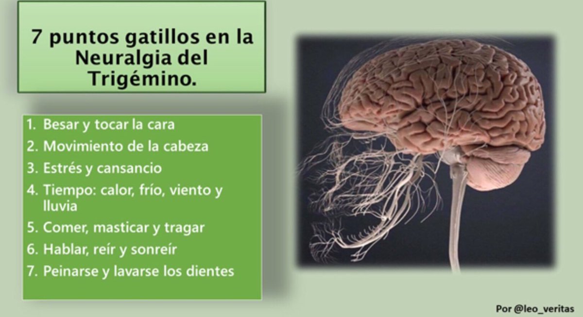NoInvisibles's tweet image. Hoy es #DiaInternacionalNeuralgiaTrigémino #TrigeminalNeuralgiaAwarenessDay
La #NeuralgiadelTrigémino afecta al Sist. Nervioso Periférico es de las #EERR por su baja prevalencia y también invisible🤯
@leo_veritas habla de #Besosqueduelen
En @ElHuffPost👇
huffingtonpost.es/entry/los-dias…