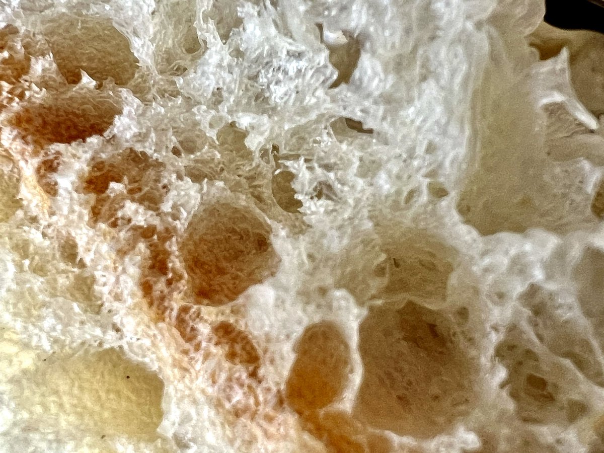 jimmygunawanapp's tweet photo. #NeuralMacro #Macro #Halide Vegemite and Lurpak on Turkish Bread. #iphone13pro Free use macro photos for your wallpaper. https://t.co/pvvj4kLzNR