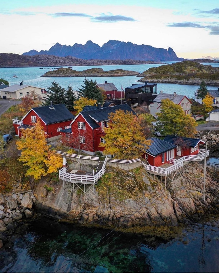 Fremtiden for scandibet 