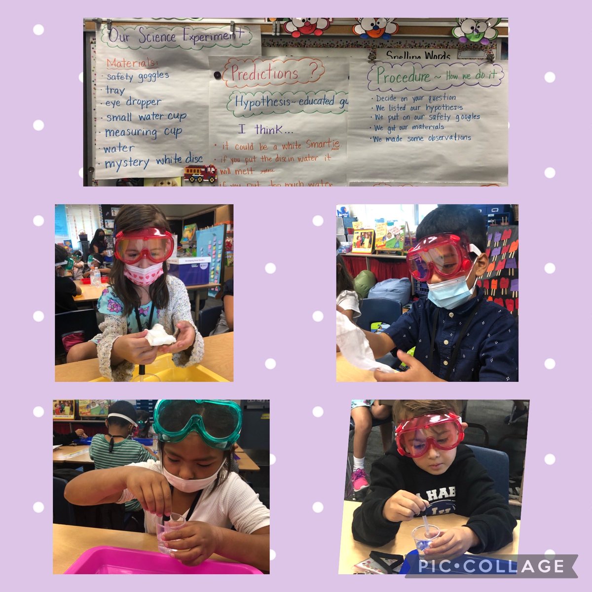 Bannon’s Bugs being inquirers today - by completing an experiment using the scientific method! Thank you to all who contributed to our DonorsChoose project! ⁦<a href="/laspositaslions/">Las Positas</a>⁩ ⁦@DrC_LaHabra⁩ #LHCSD #1Team1Vision