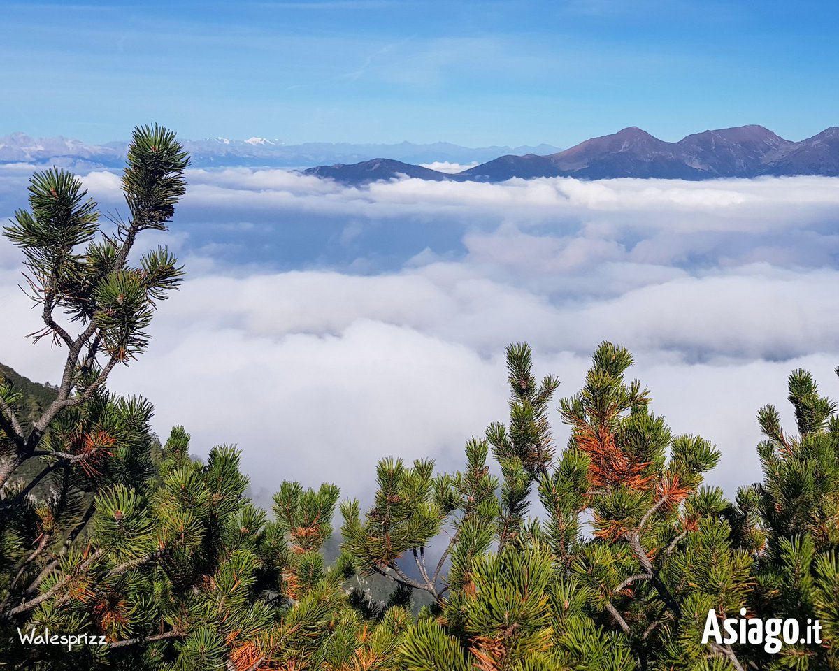 AsiagoIt's tweet photo. "L’aria lassù tra le #nuvole è molto pura e fine, frizzante e deliziosa. E perché non dovrebbe esserlo? È la stessa che respirano gli #angeli." [M.Twain] 
​
​Buongiorno! 😊 La splendida foto è stata scattata verso Cima #Portule da Walesprizz il 25/9/21

​​#Asiagoit https://t.co/7r7ShIWKf0