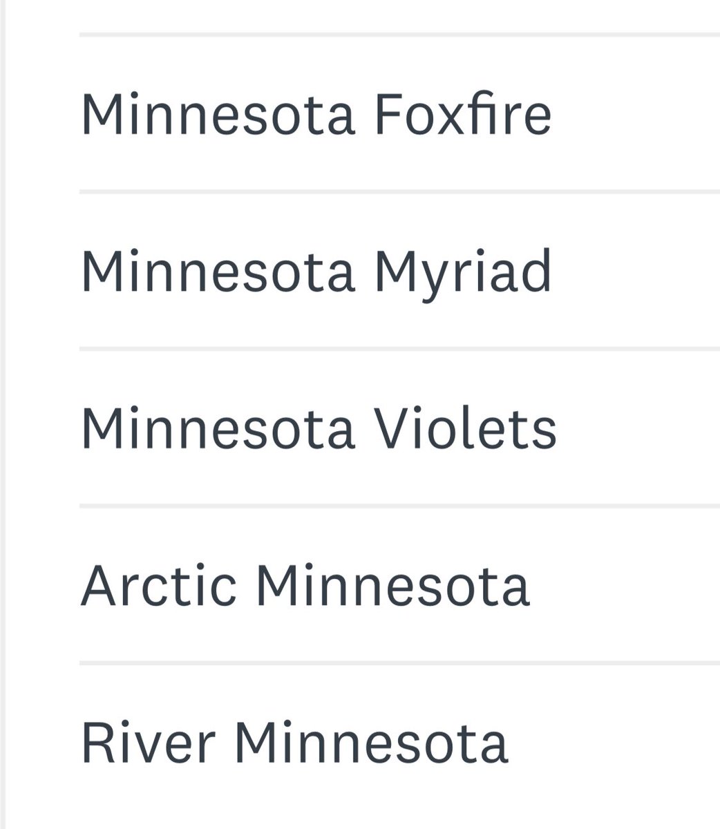 hmn10134's tweet photo. Let each of my four MN based nieces pick a name! 7-year-old liked River, 5-year-old lit up when she heard Violets, 3-year-old picked Foxfire (mom interpreted), and the 3-month-old (well, her dad) went with Arctic. I switched last minute from Aurora to Myriad! @MnWoso So excited! https://t.co/F5SDdGvp8q