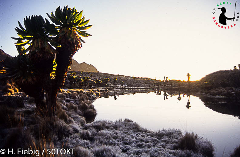 Treasures_Kenya's tweet image. Did You Know? There are over 25 lakes that dot the breathtaking landscape of Mount Kenya National Park.  
#TBT #RediscoverKenya #ShotsOfKenya #MagicalKenya #TreasureKenya