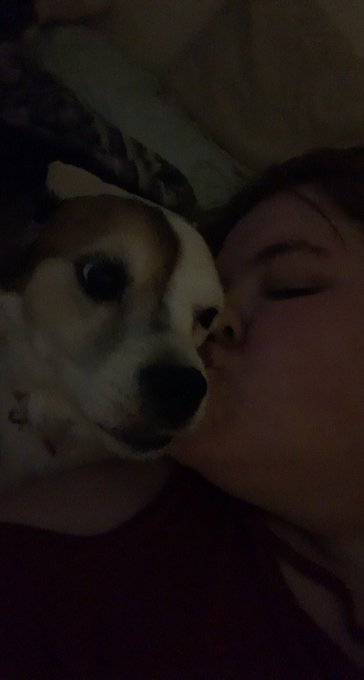 My dog is a cute aa heck 🥰 https://t.co/xXq2u829nT<a href="/tag/newprofilepic"class="tags"><span>#newprofilepic</span></a>