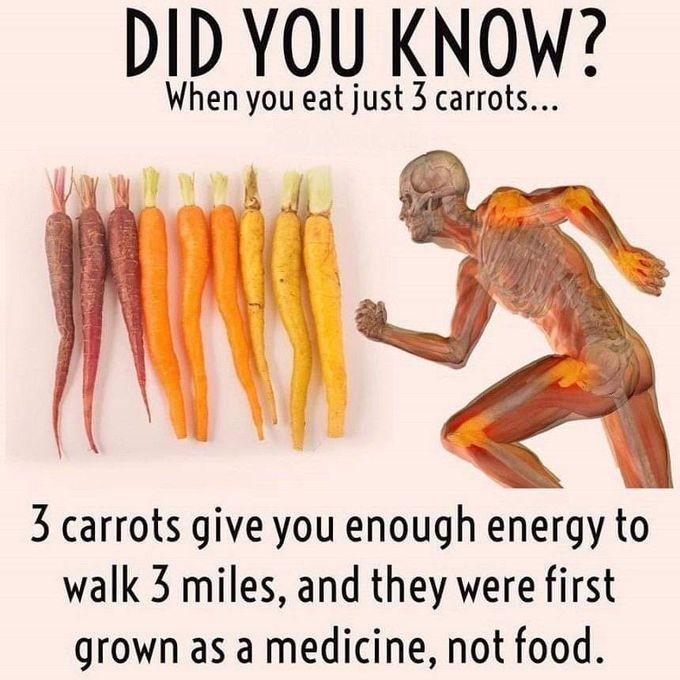 Chinnarao_C's tweet image. నిజమే...
ప్రయత్నం చేసి రుజువు చేసుకోవచ్చు...

#healthyfoods #fitness #foodforfitness