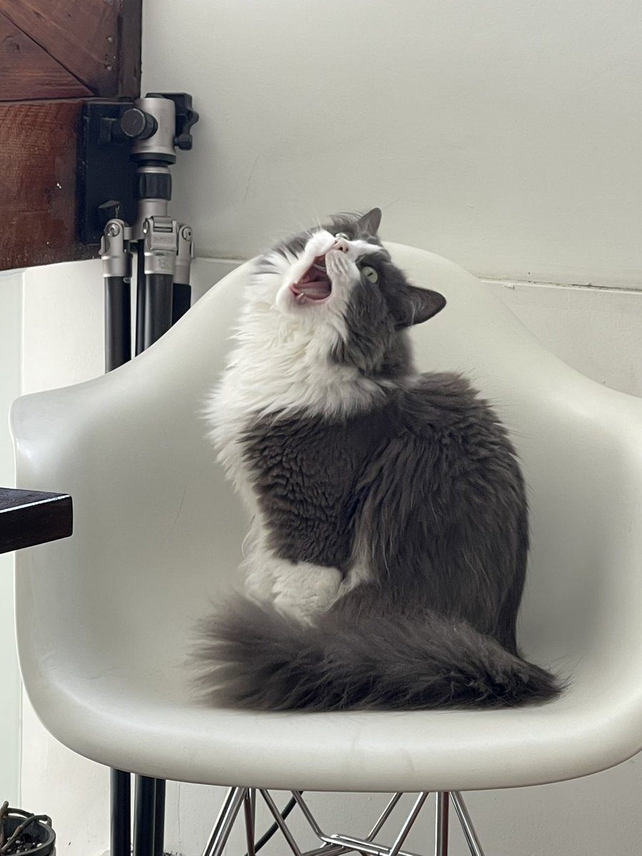 Phil Kitt 👾 tweet media