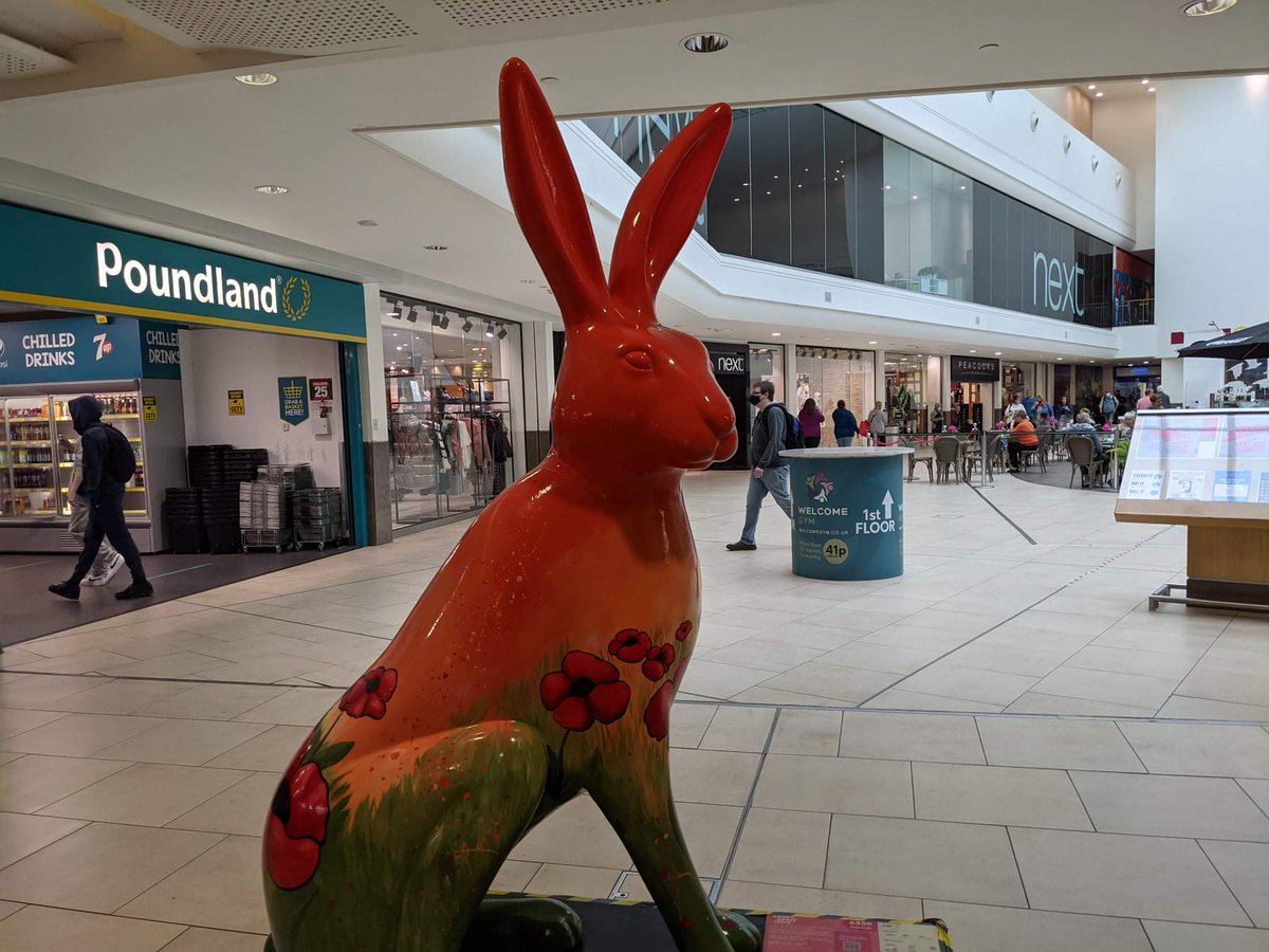 Hoppy Poppy by @tjw19

#haresabouttown #victoriashoppingcentre #southendonseaessex #southendonsea #southend #essex